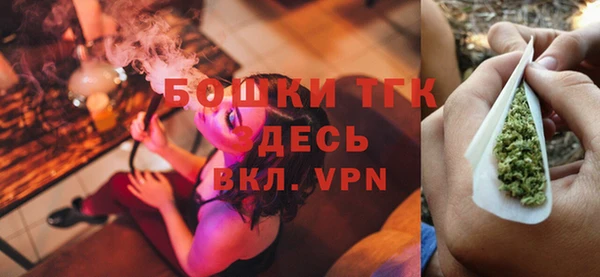 прущий лед Вяземский