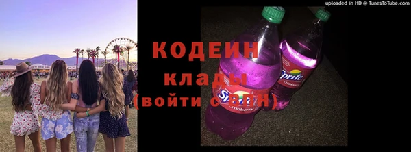 прущий лед Вяземский