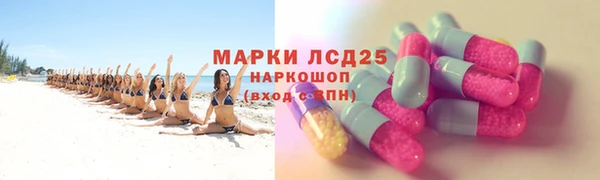 прущий лед Вяземский