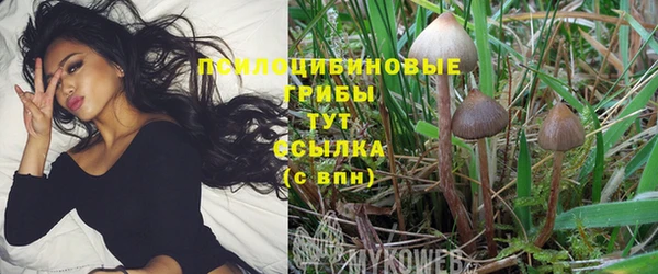 молекула духа Вязьма