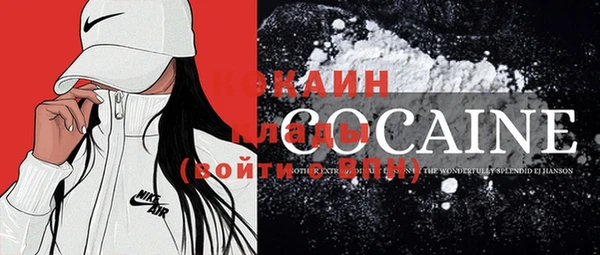 молекула духа Вязьма