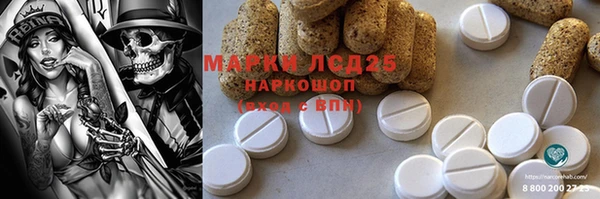 прущий лед Вяземский
