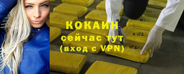 молекула духа Вязьма