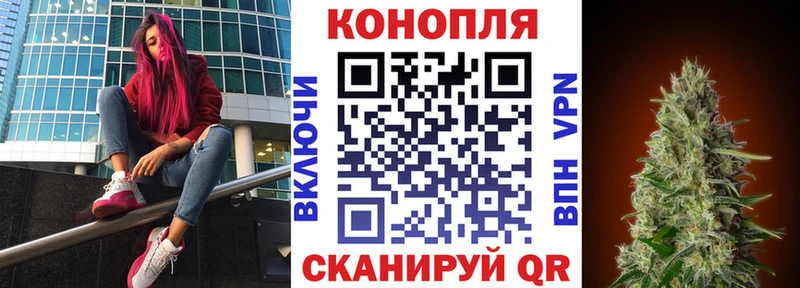 Бошки марихуана конопля  магазин продажи   Кинель 